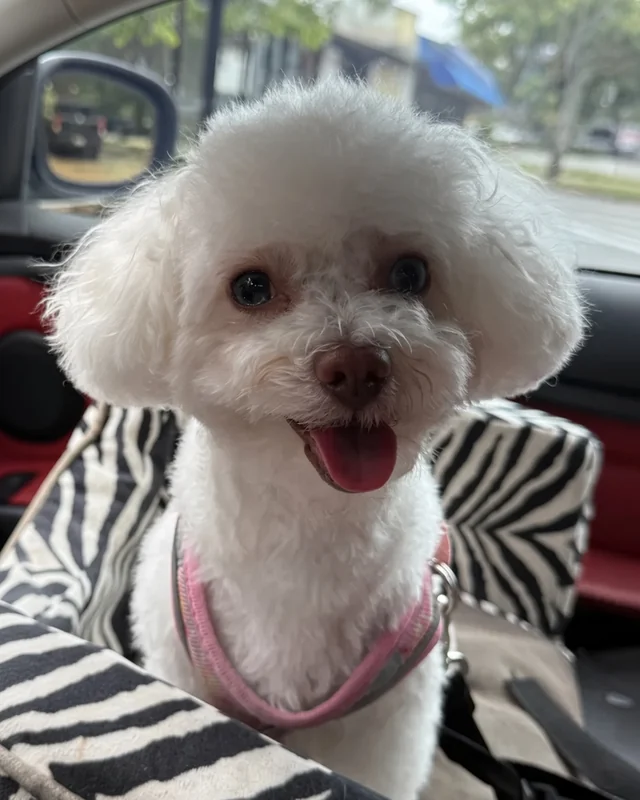 NALA